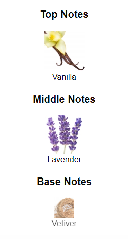 Our impression of Valentino Born In Roma Intense 50 ml