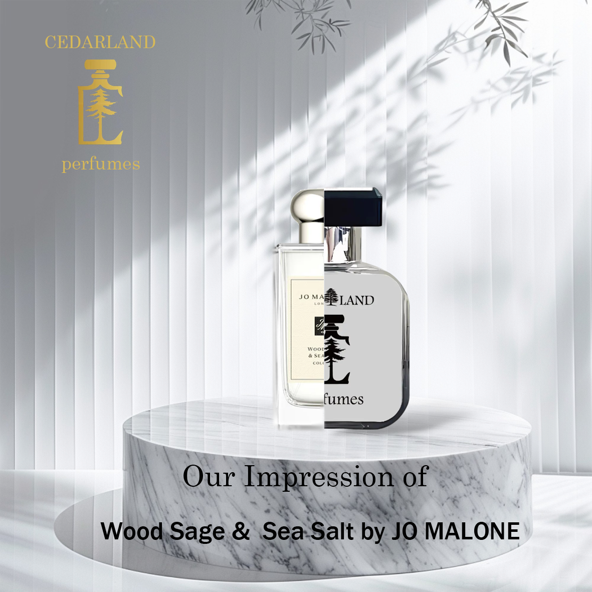 Our impression of wood sage & sea salt by Jo Malone 10 ml