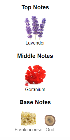 Our impression of Y Elixir by YSL 10 ml