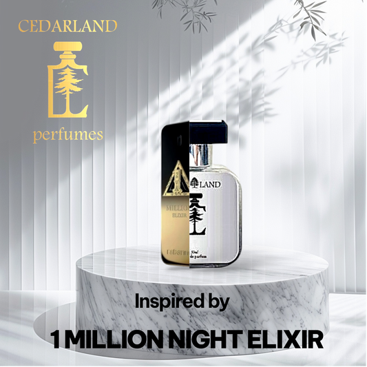 Our Impression Of 1 Million Night Elixir by Rabanne