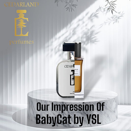 Our Impression of Babycat by YSL