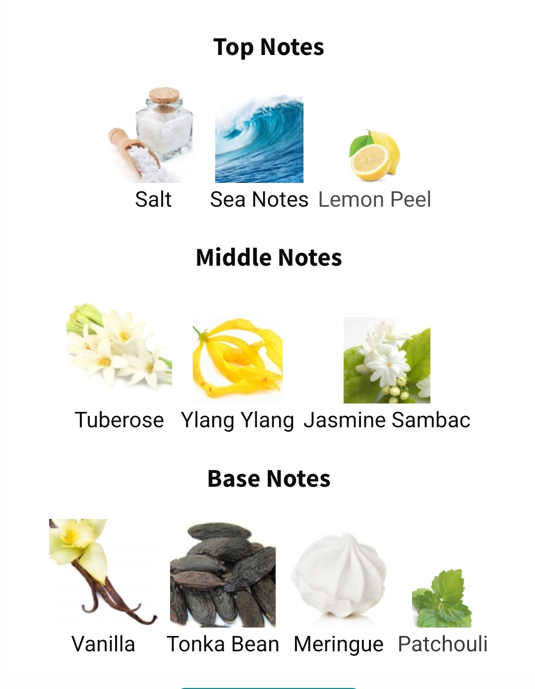 Our Impression of Gaultier Divine Elixir by JPG 10ml