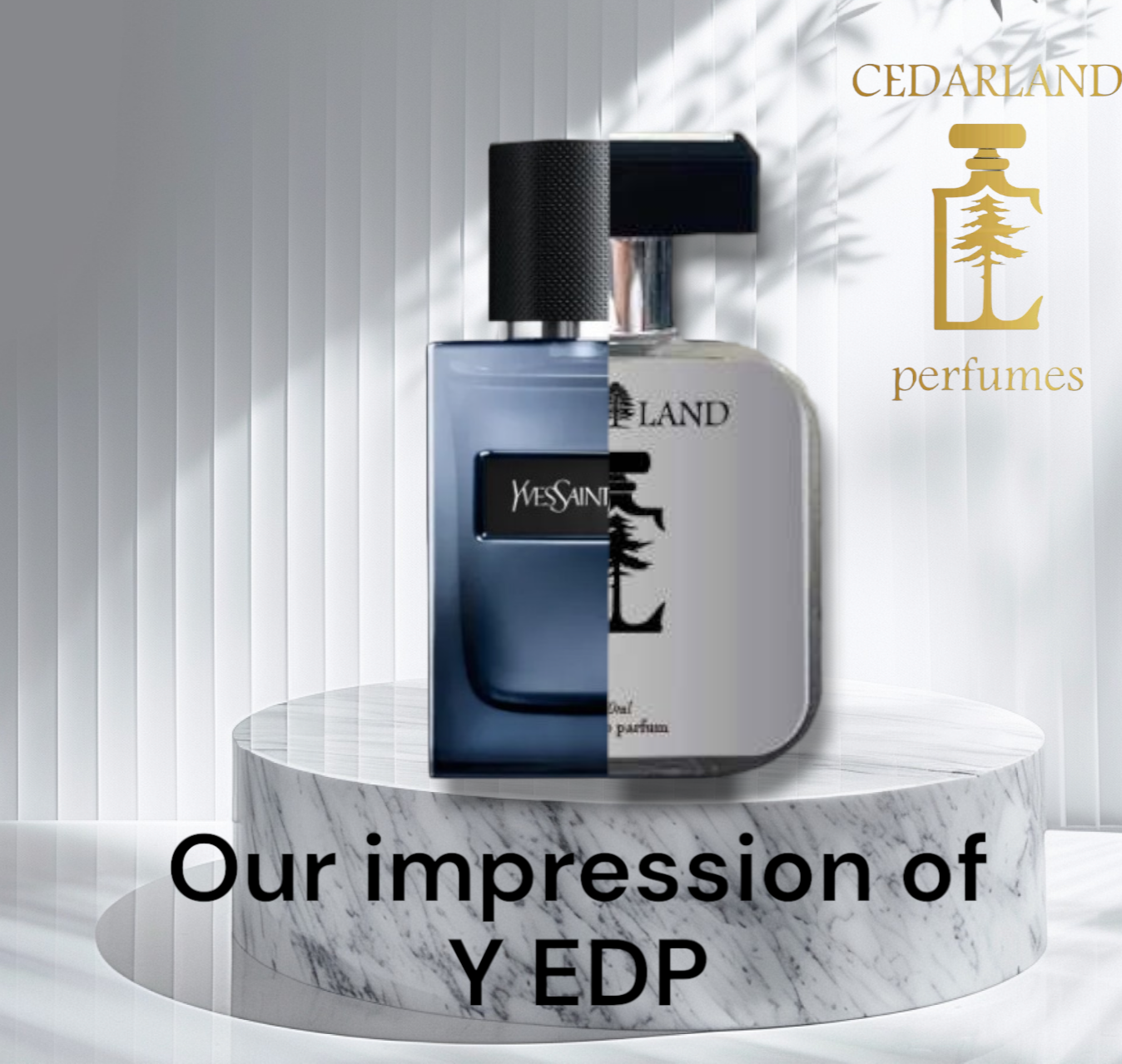 Our impression of Y EDP by YSL 10 ml