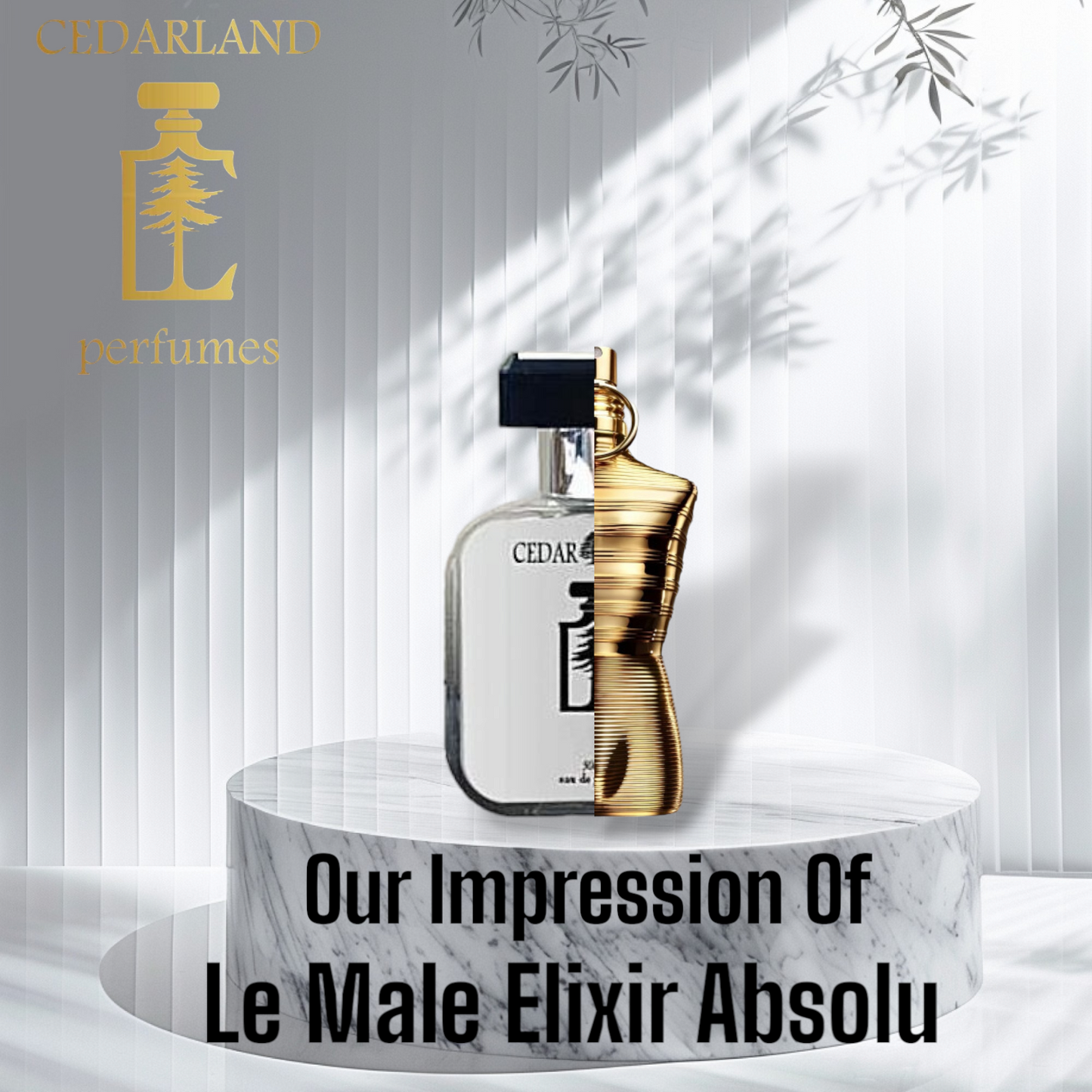 Our Impression of Le Male Elixir Absolu by JPG