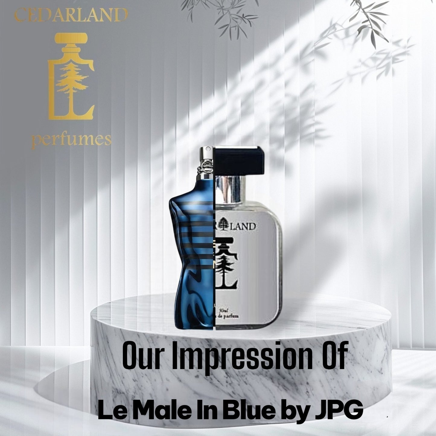 Our Impression Of Le Male In Blue