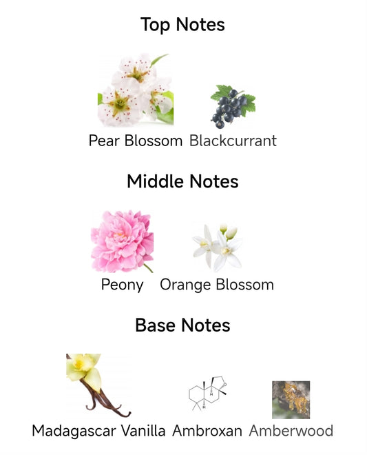 Our Impression of My Devotion EDP Intense by D&G