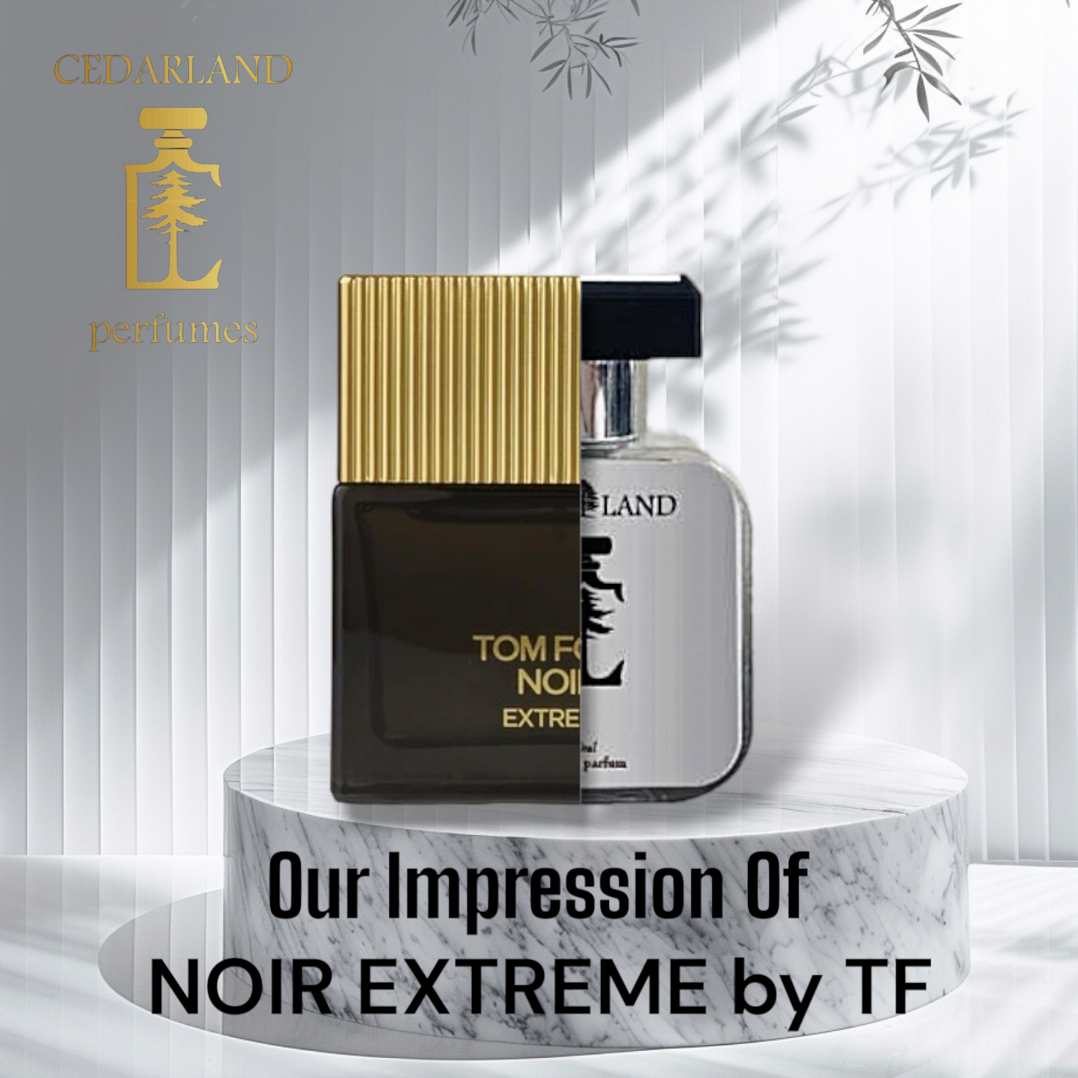 Noirextreme.png?v=1734737840&