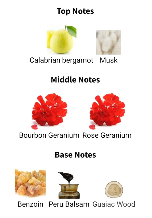 Our Impression of Paradigme Prada