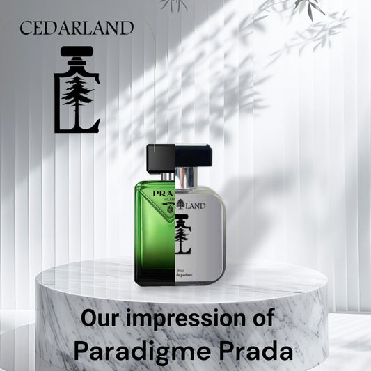 Our Impression of Paradigme Prada