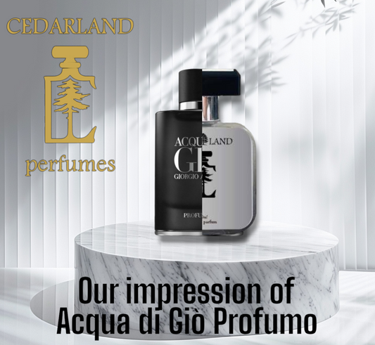 Our Impression of Acqua di Giò Profumo by Giorgio Armani 15 ml