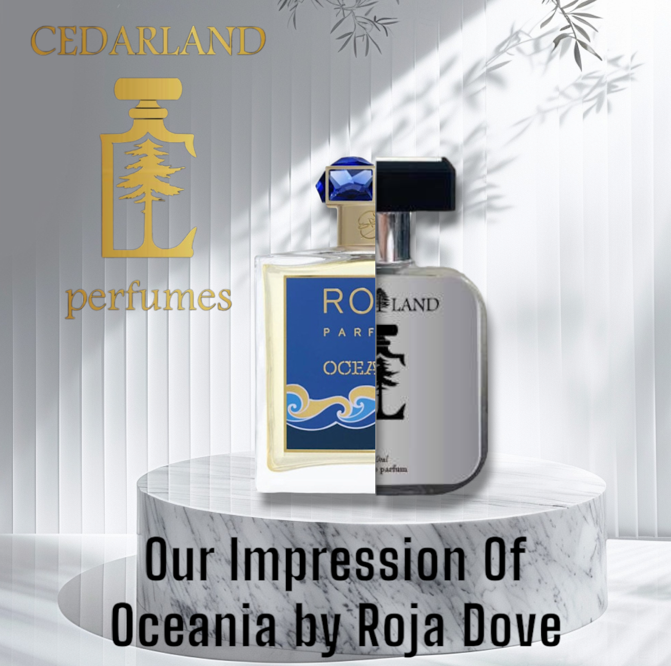 Our impression of Oceania by Roja Dove 10 ml