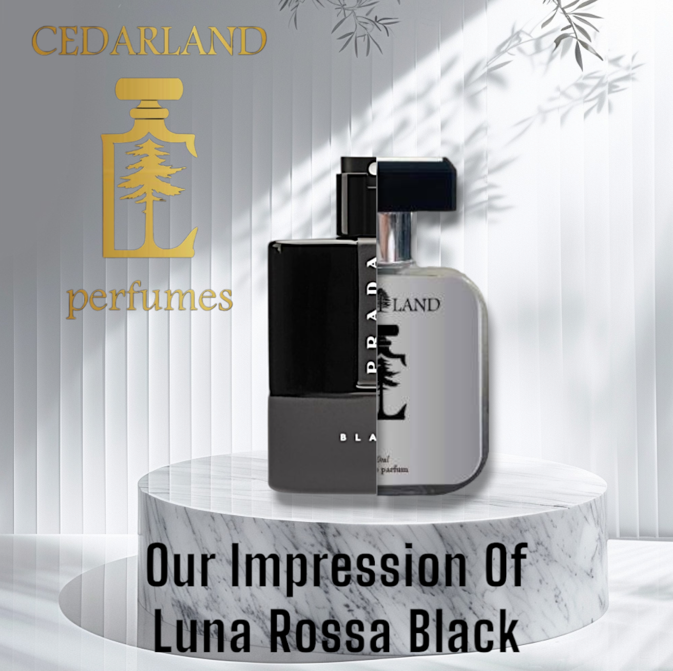 Our impression of Luna Rossa Black by Prada