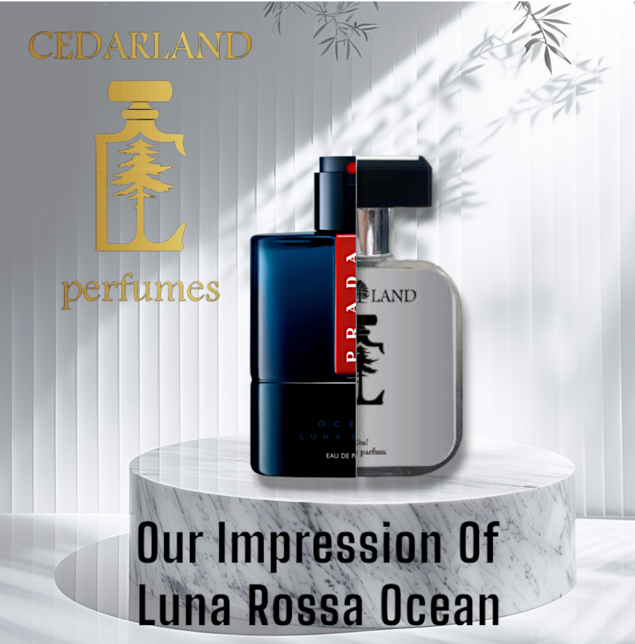 Our impression of Luna Rossa Ocean by Prada