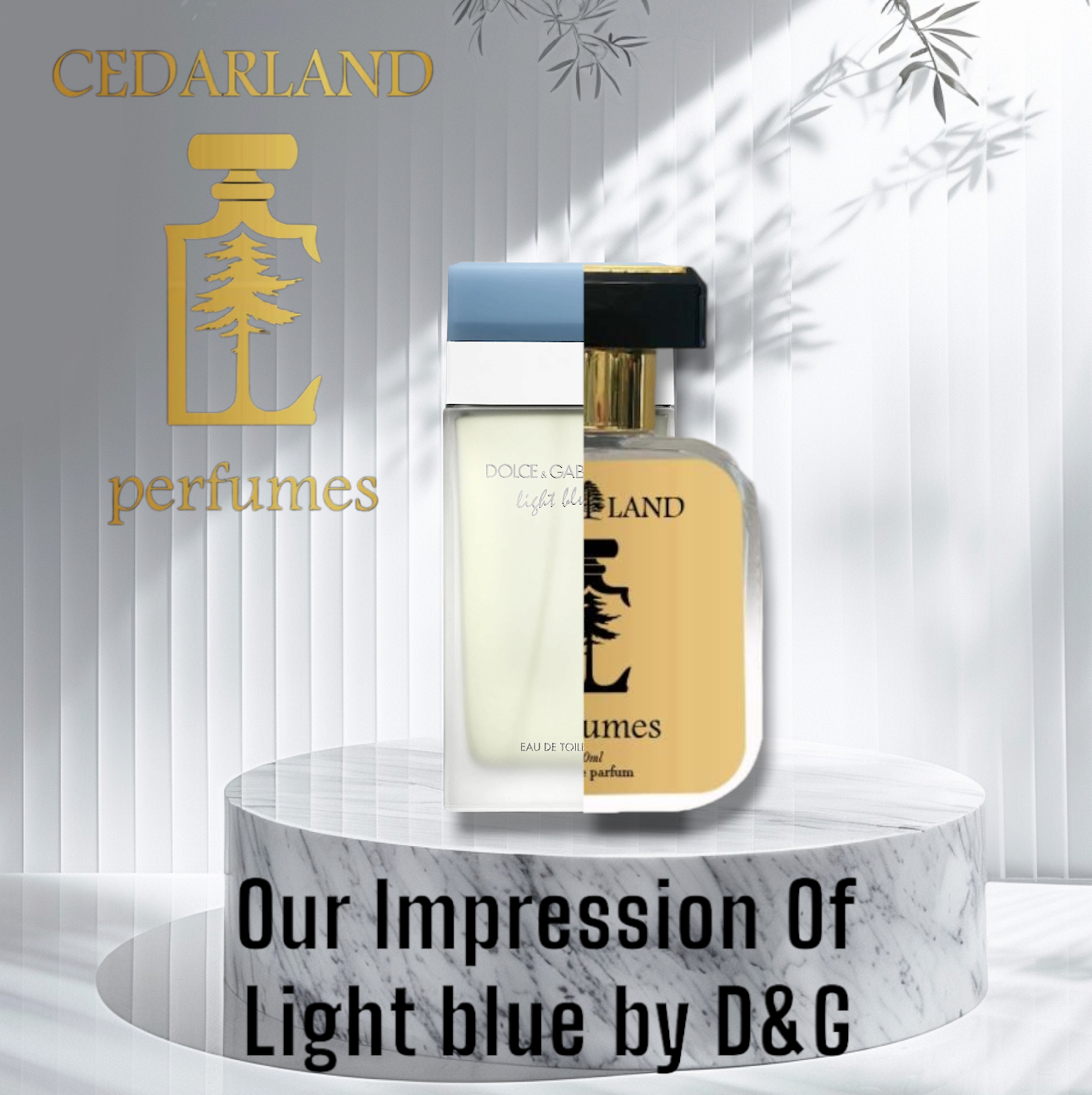 Our impression of Light Blue by D&G