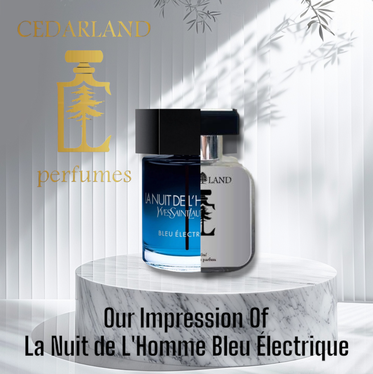 Our impression of La Nuit de L'Homme Bleu Électrique by Yves Saint Laurent