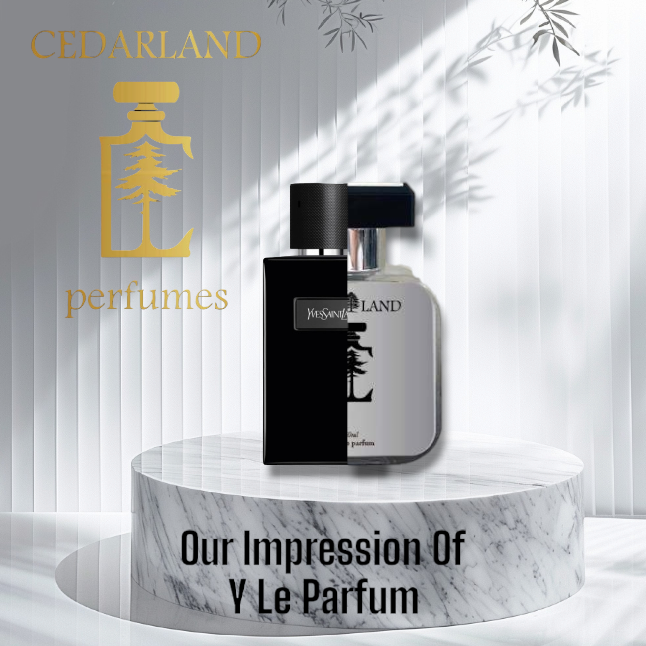 Our impression of Y Le Parfum by YSL 10 ml