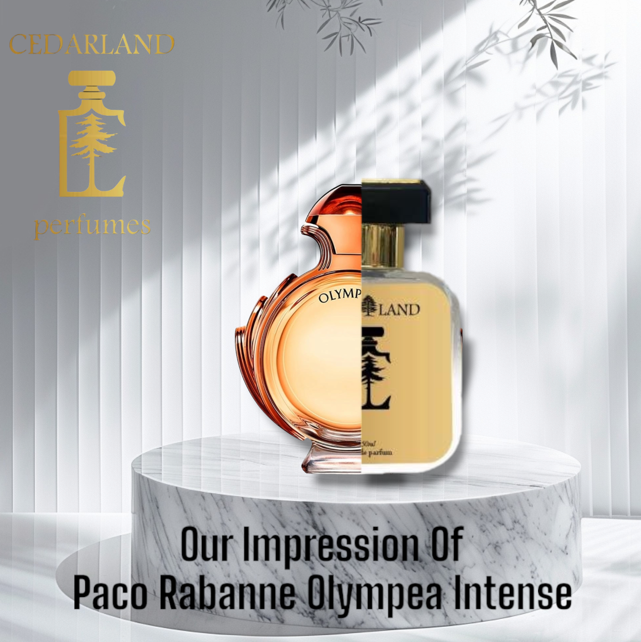 Our impression of Olympea intense BY Rabanne