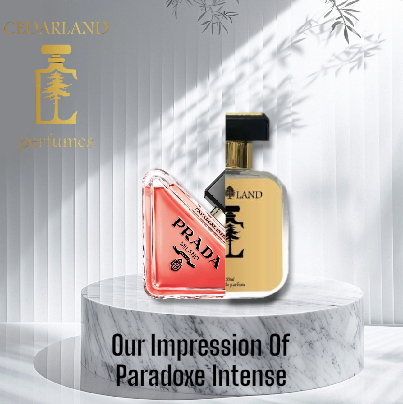 Our impression of Paradoxe intense