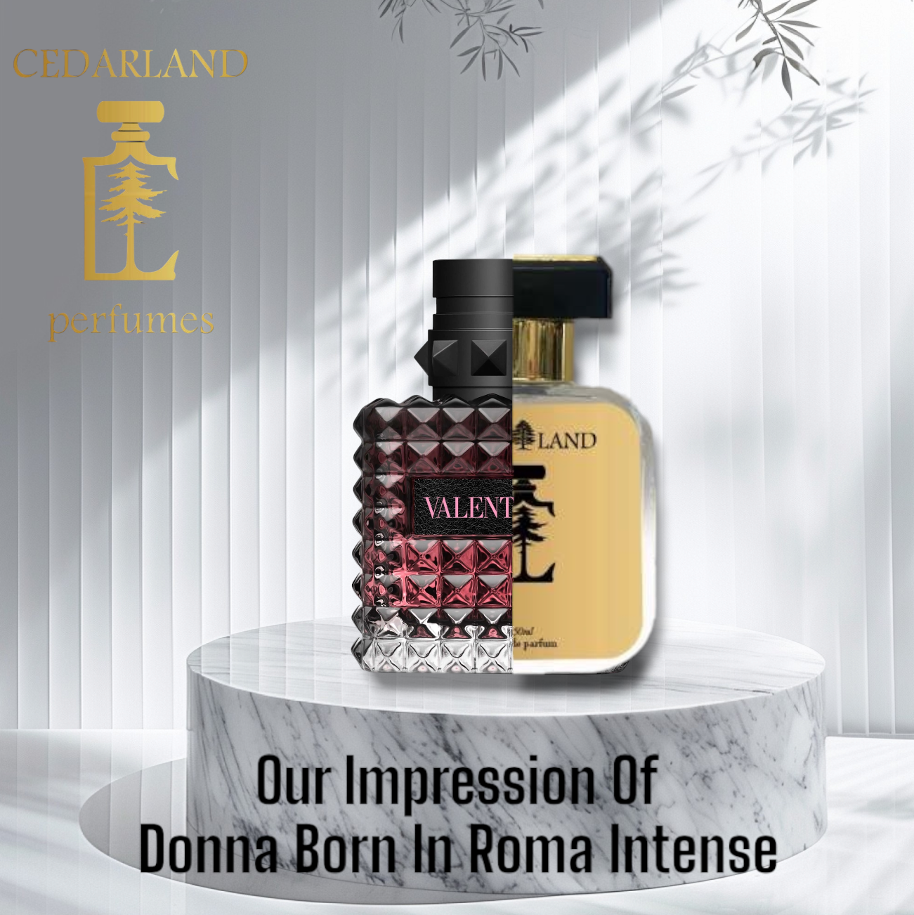 Our impression of Valentino Donna born in Roma intense