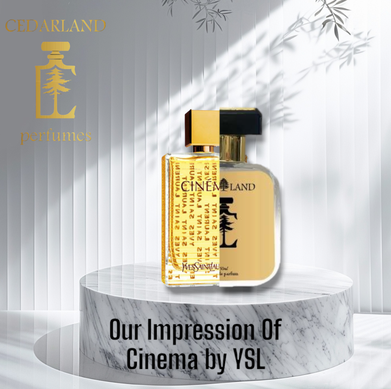 Our impression of Cinema by YSL