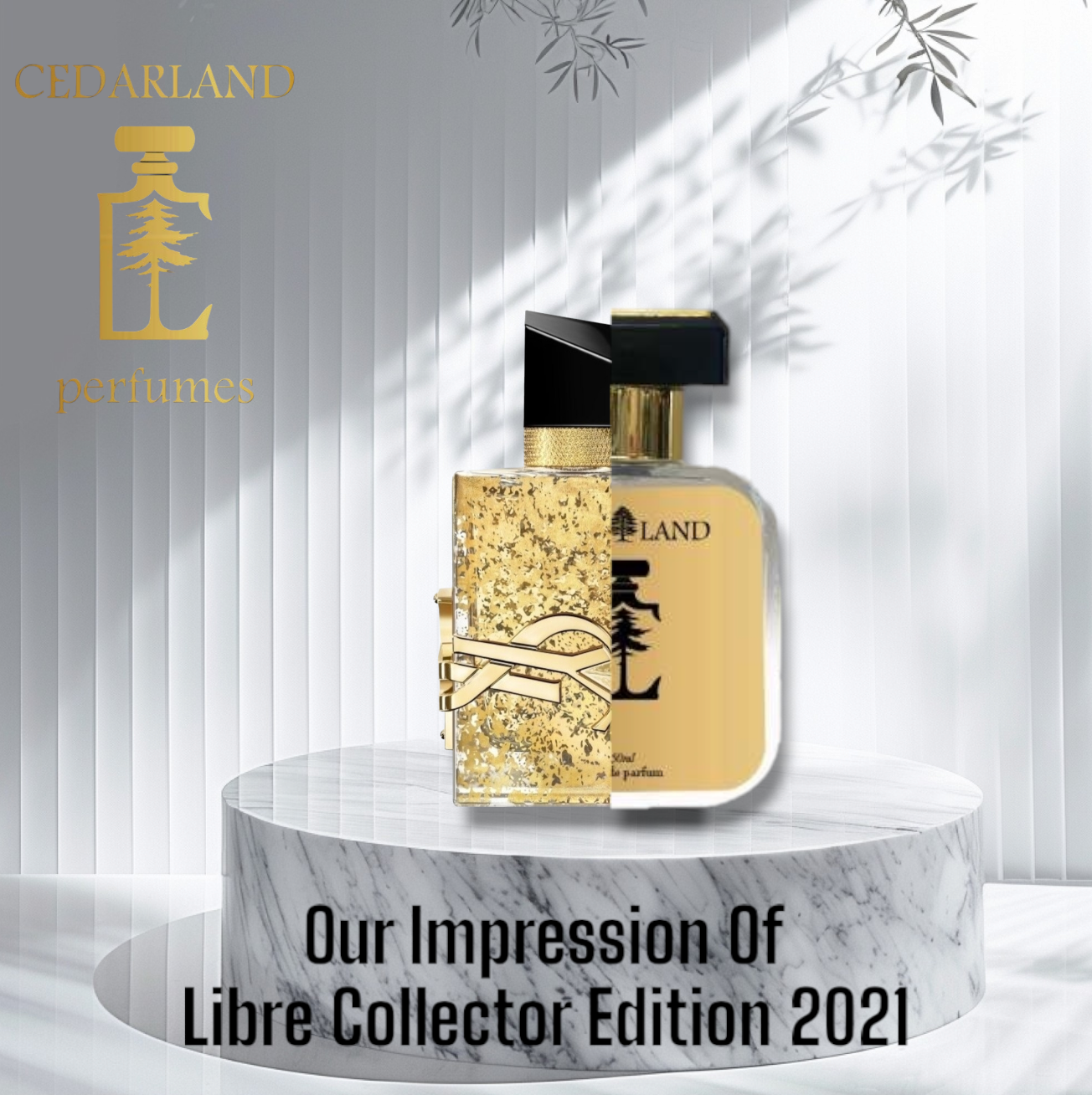 Our impression of Libre Collector Edition