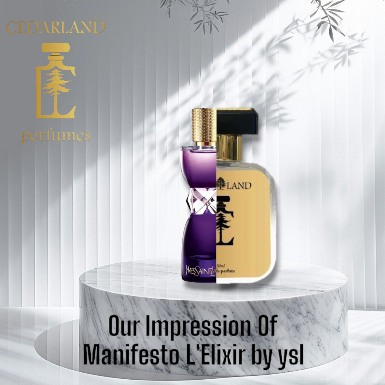 Our impression of Manifesto L'Elixir