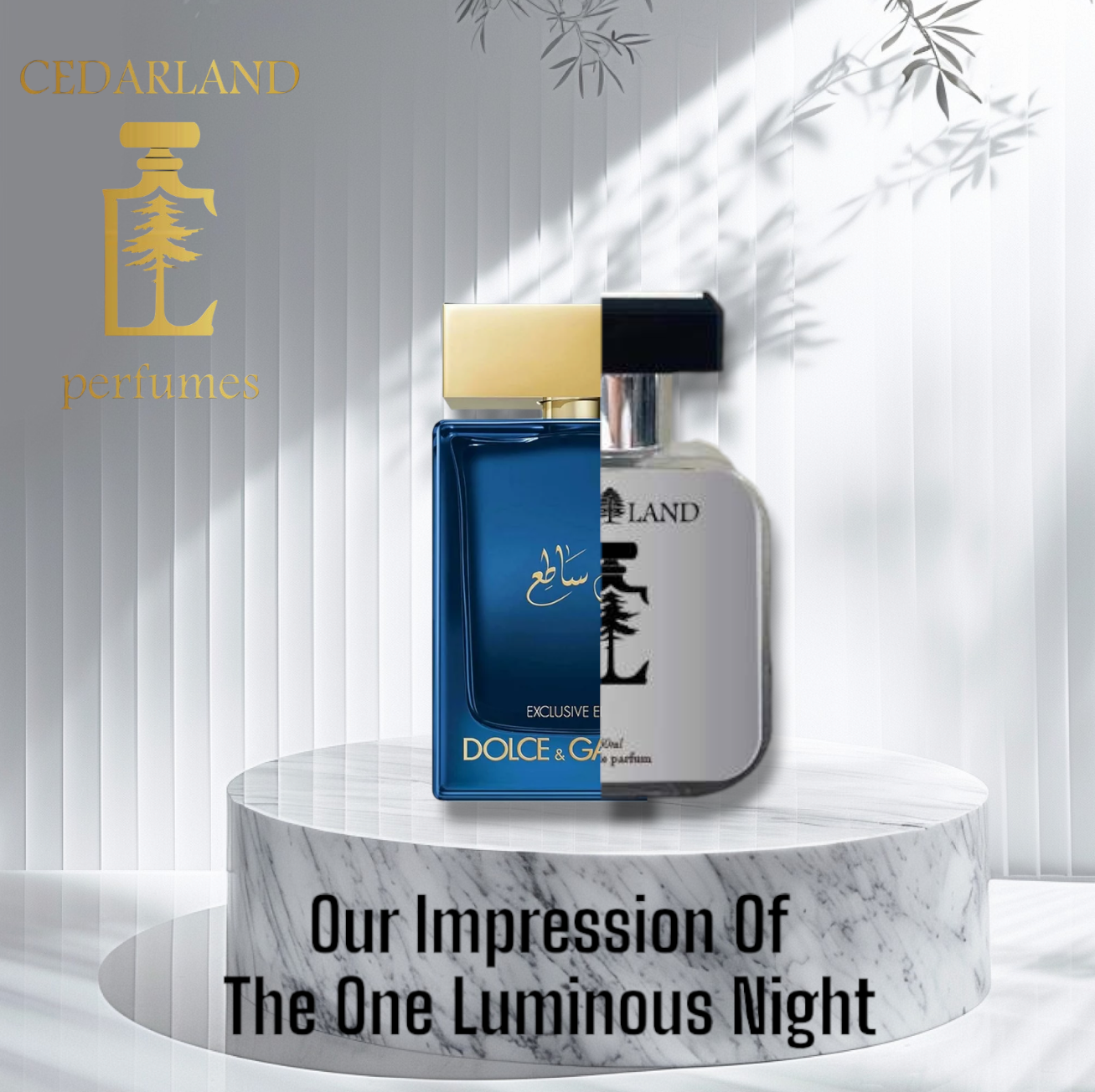 Our impression of The One Luminous night 10 ml