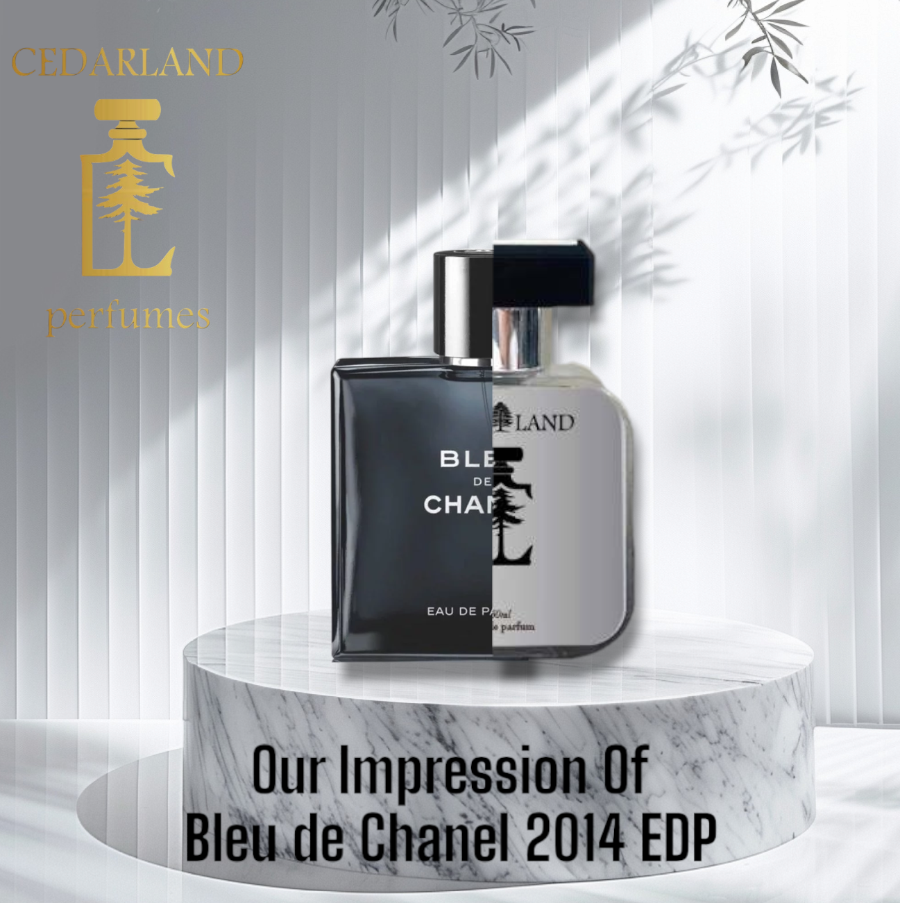 Our impression of Bleu De Chanel EDP 2014 15 ml