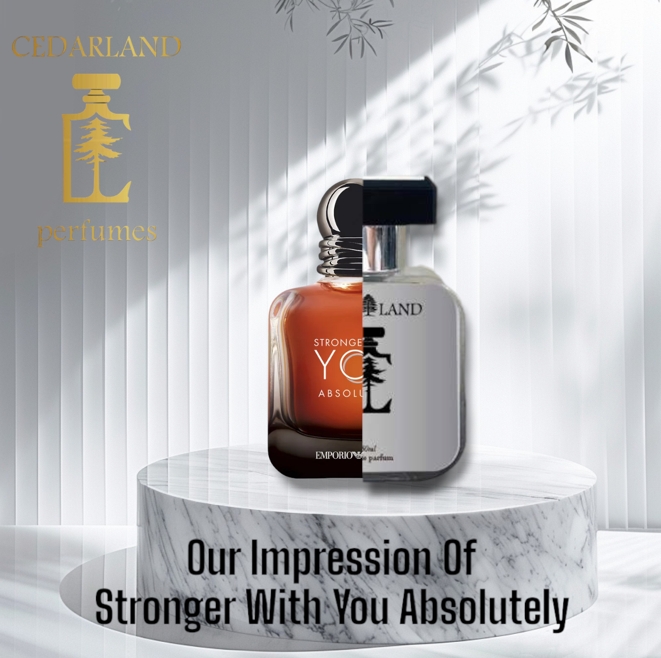 Our impression of Stronger with you absolutely 10 ml