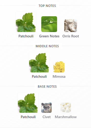 Our Impression of Sole Patchouli by Vertus