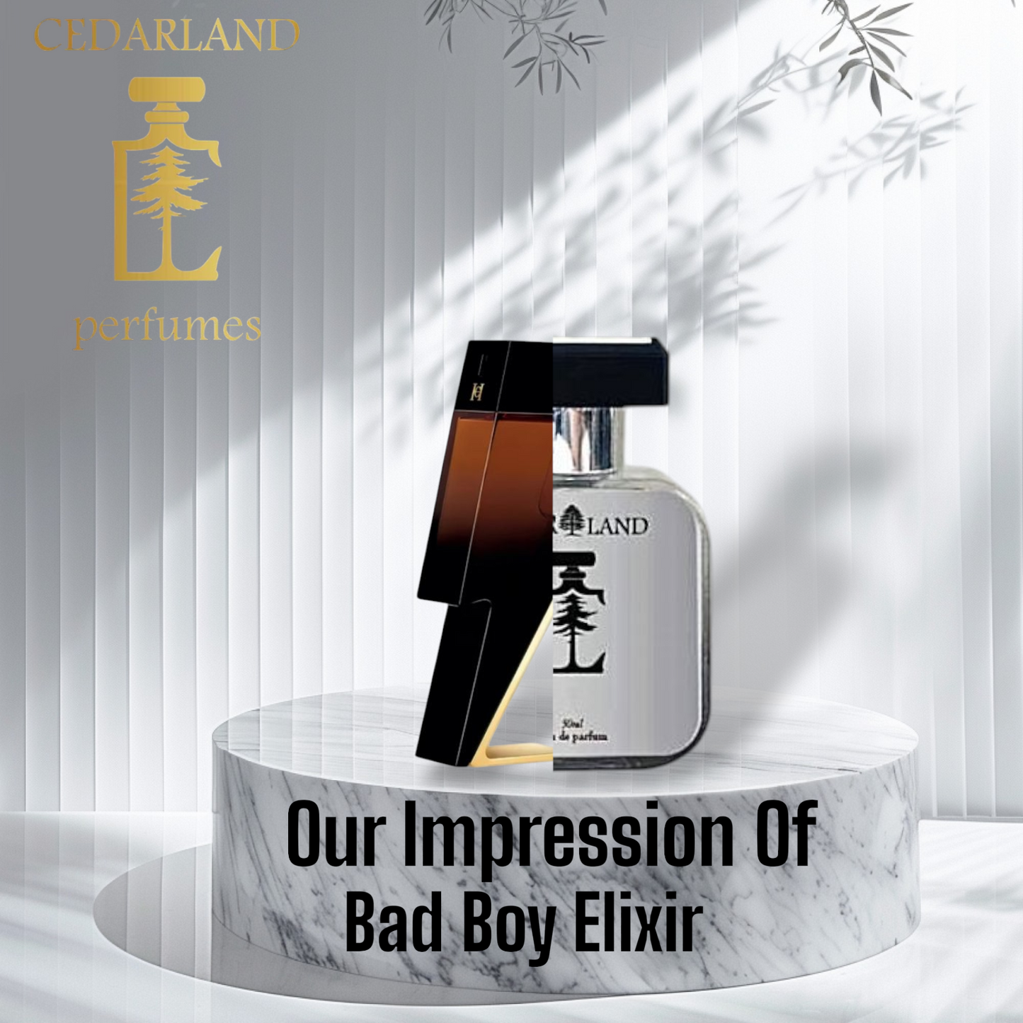 Our impression of Bad Boy Elixir by Carolina Herrera 10 ml
