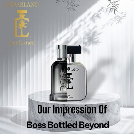 Our Impression of Boss Bottled Beyond