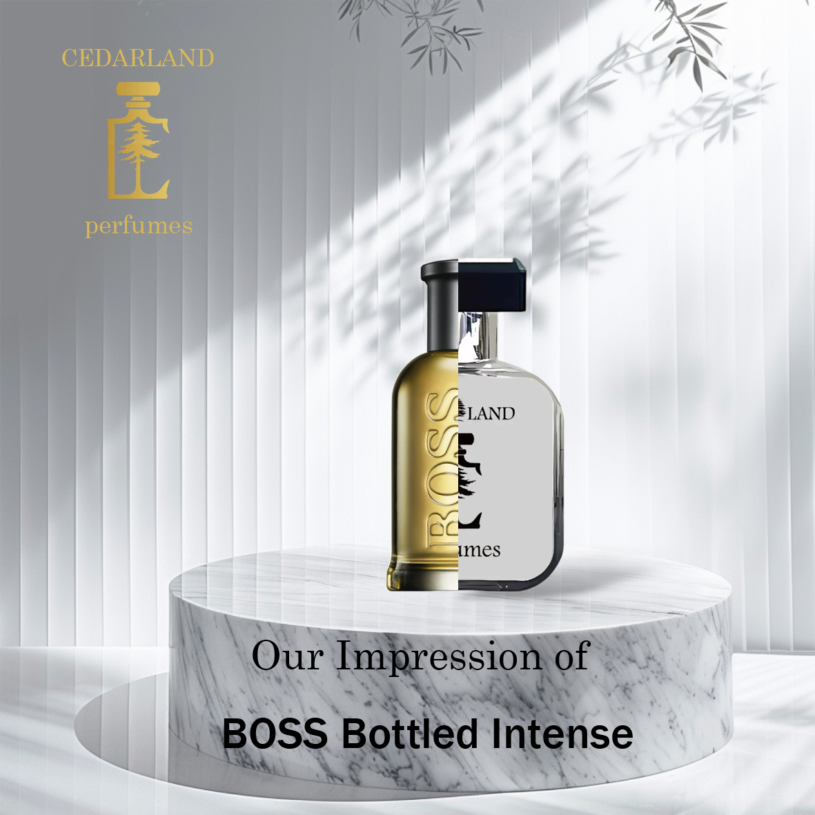 Our Impression of Boss Bottled intense 50 ml