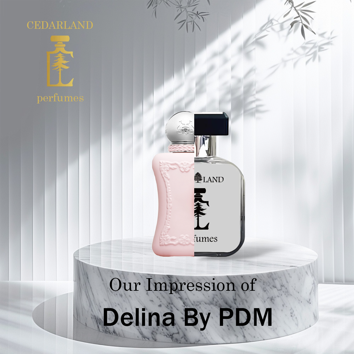 Our impression of Delina by PDM 10 ml