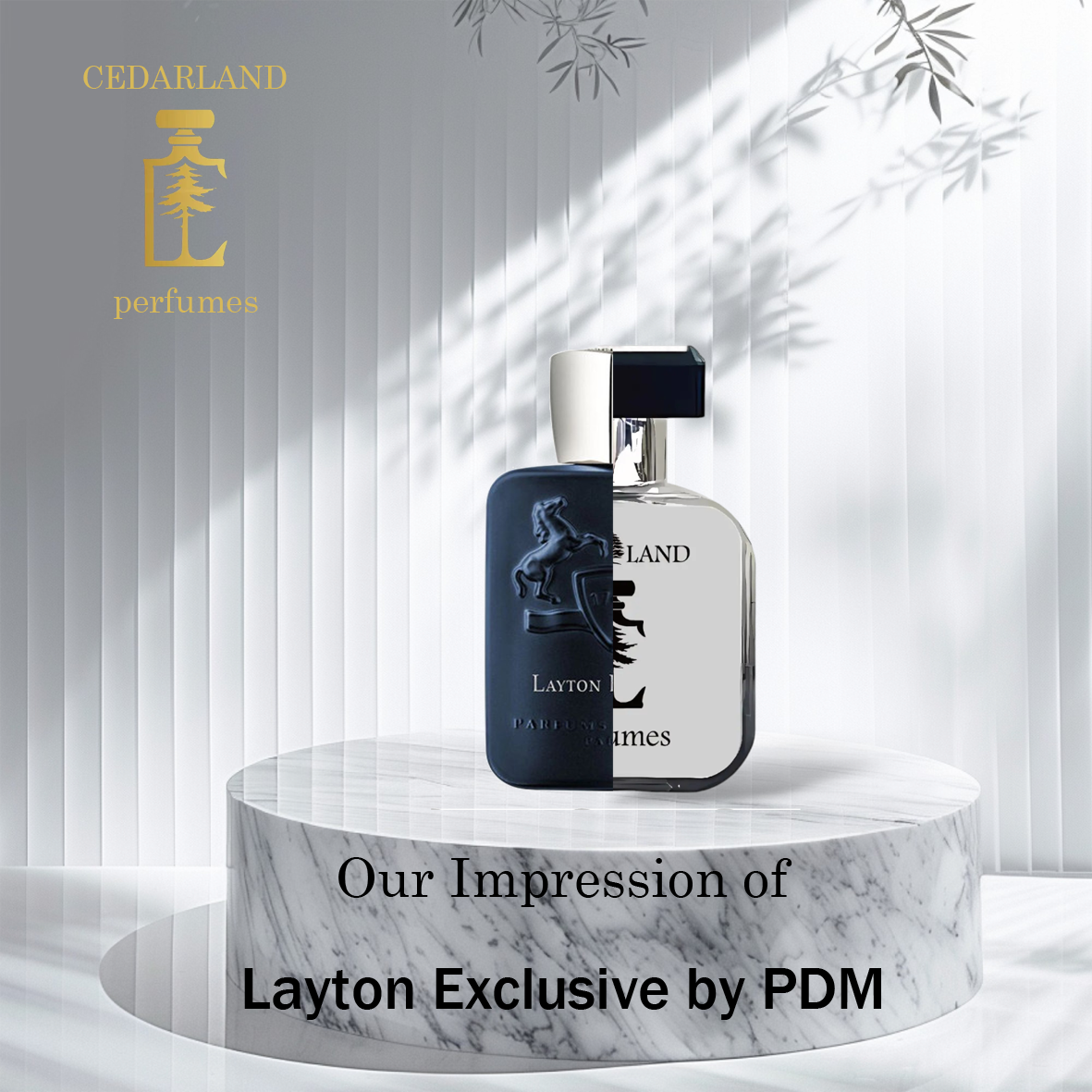 Our Impression Of Layton Exclusive by PDM 10 ml