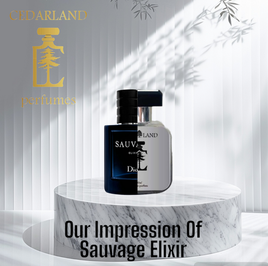 Our impression of Sauvage Elixir