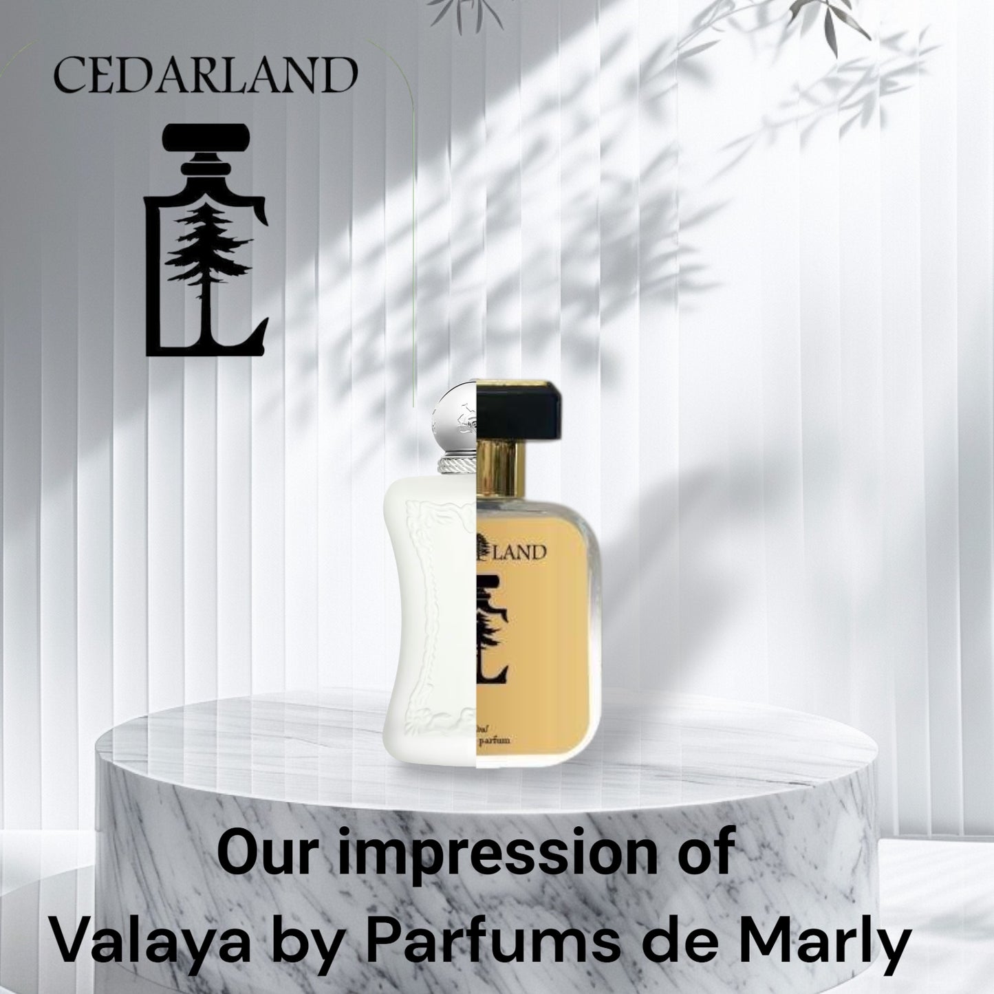 Our Impression of Valaya by PDM