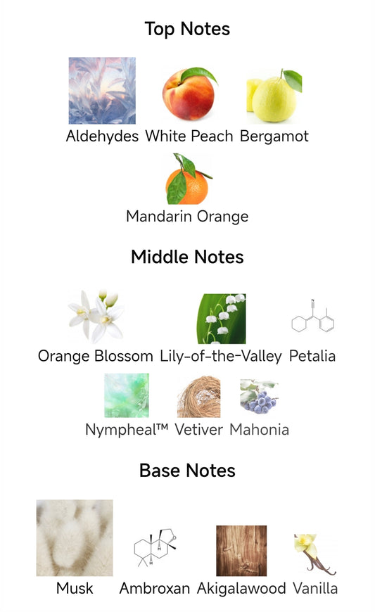 Our Impression of Valaya by PDM